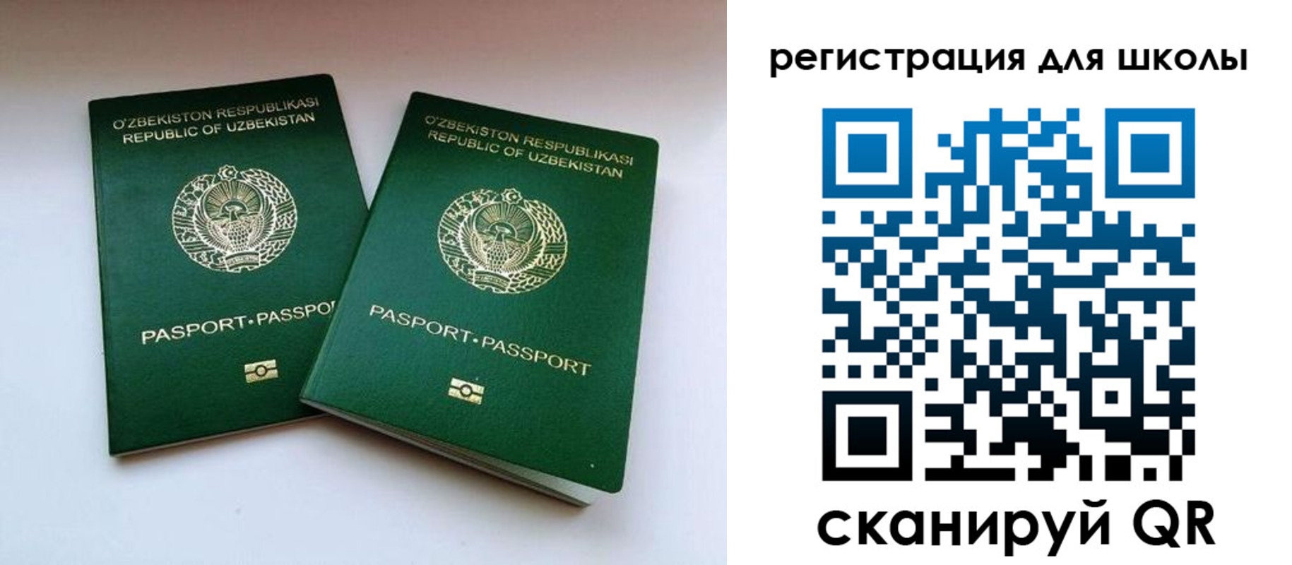 прописка для школы в Северске